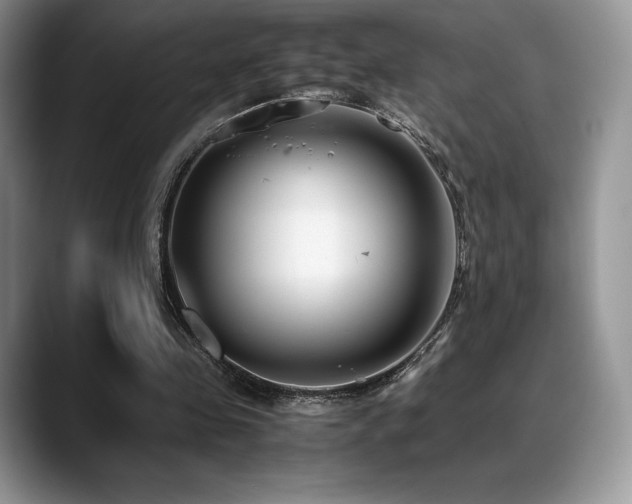 X0000088910341200706081345