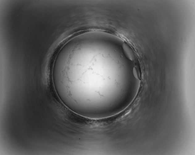 X0000088910343200706081345