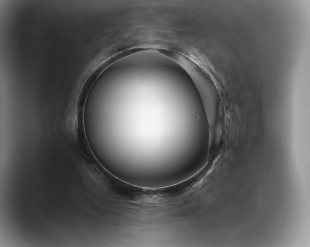 X0000088910344200706081345