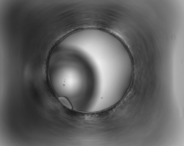 X0000088910345200706081345