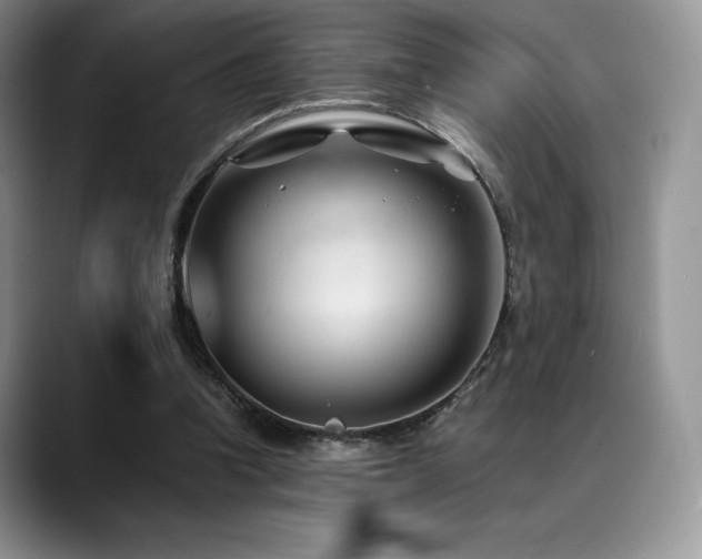 X0000088910346200706081345