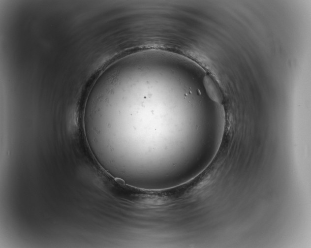 X0000088910347200706081345