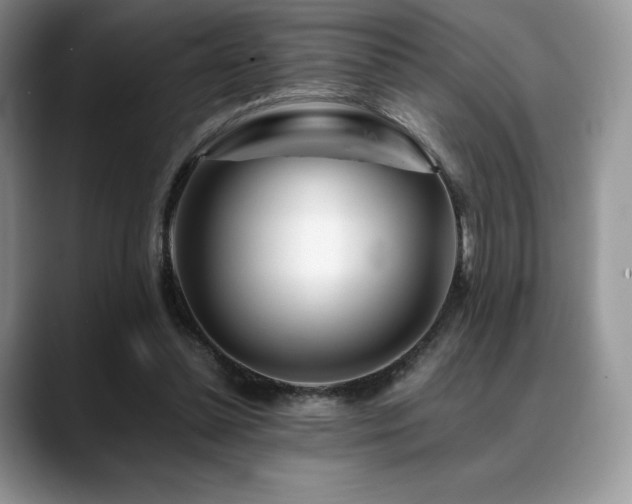 X0000088910348200706081345