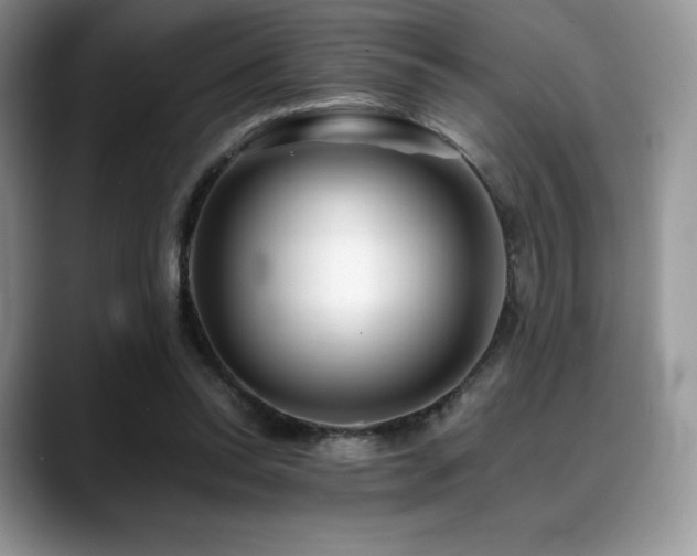X0000088910350200706081345