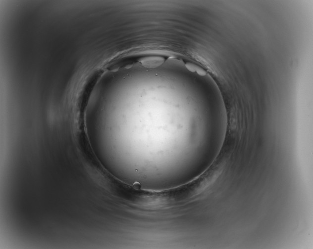 X0000088910351200706081345