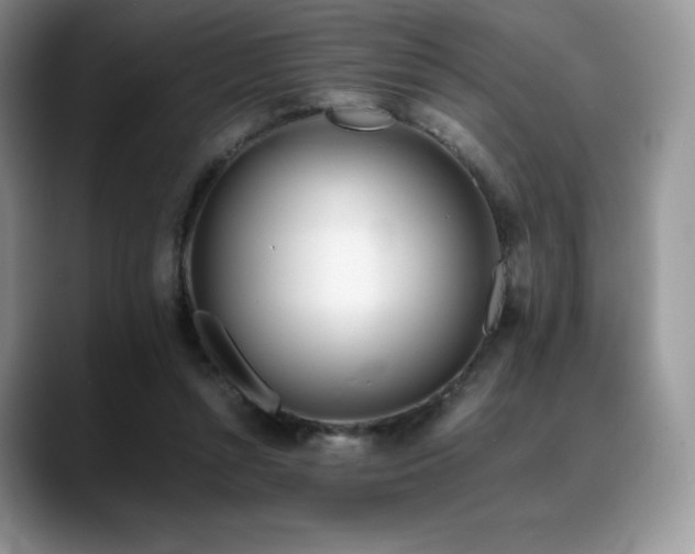 X0000088910352200706081345