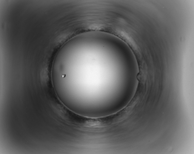 X0000088910354200706081345