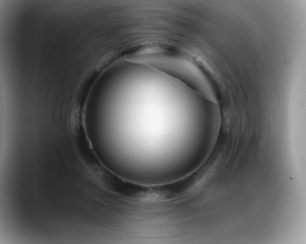 X0000088910356200706081345