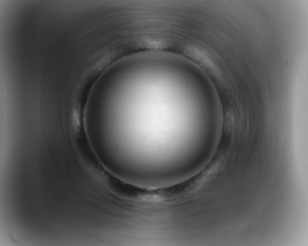 X0000088910358200706081345