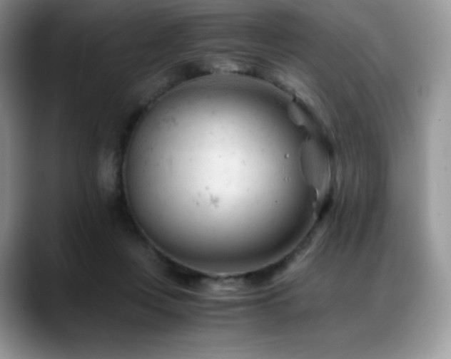 X0000088910359200706081345