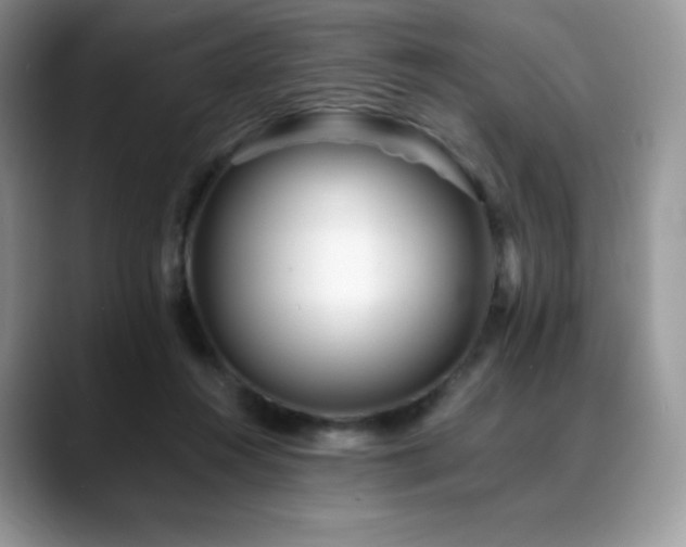 X0000088910360200706081345