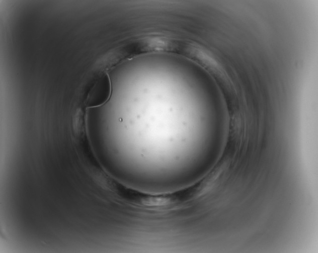 X0000088910361200706081345