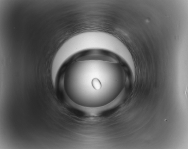 X0000088910364200706081345