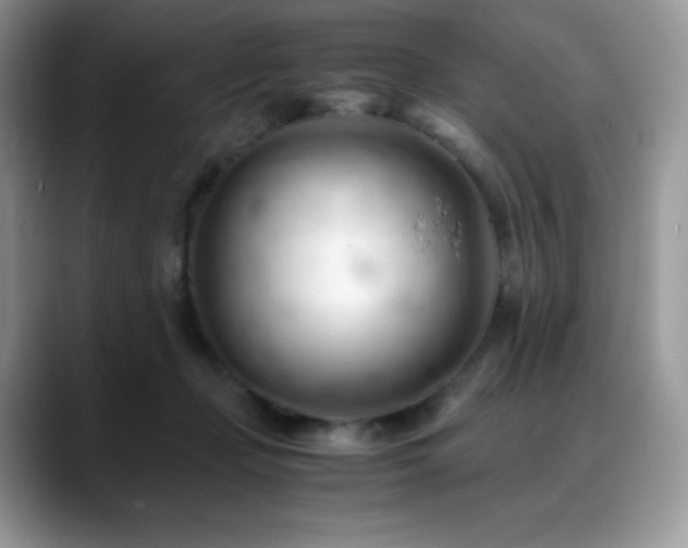X0000088910365200706081345