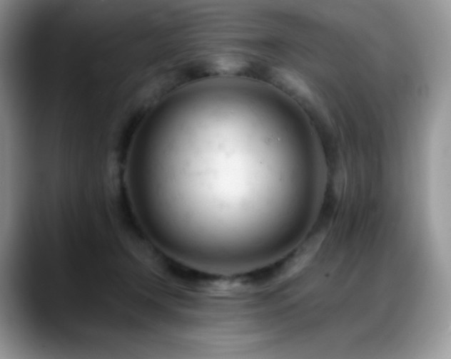 X0000088910366200706081345