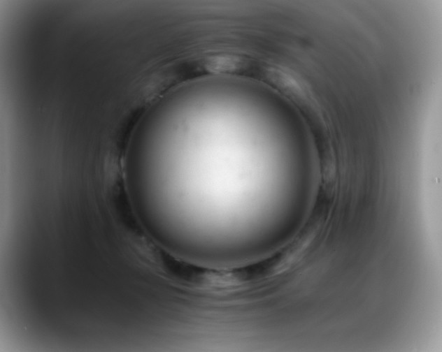 X0000088910367200706081345