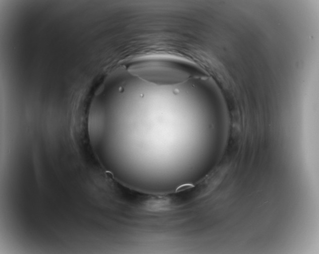 X0000088910369200706081345