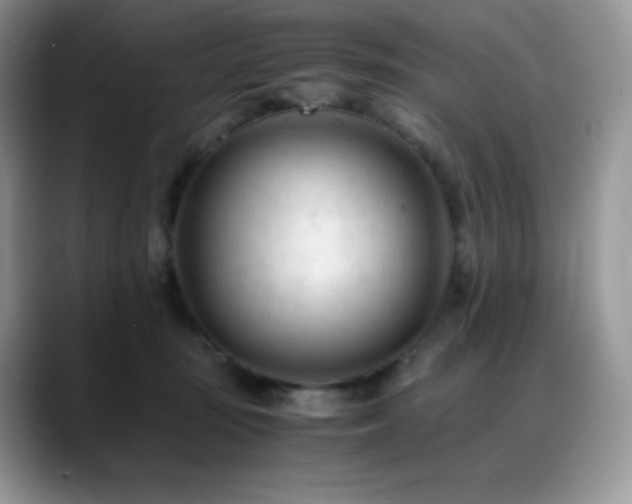 X0000088910371200706081346