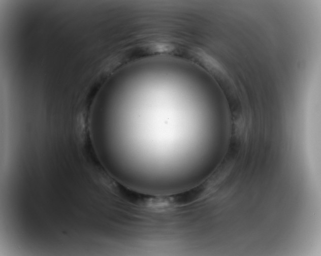 X0000088910373200706081346