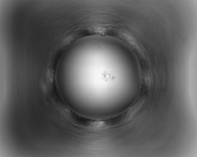 X0000088910374200706081346