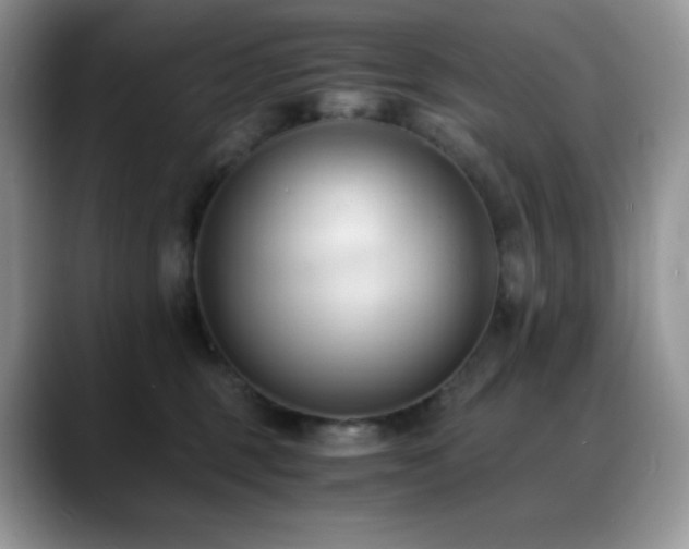 X0000088910375200706081346