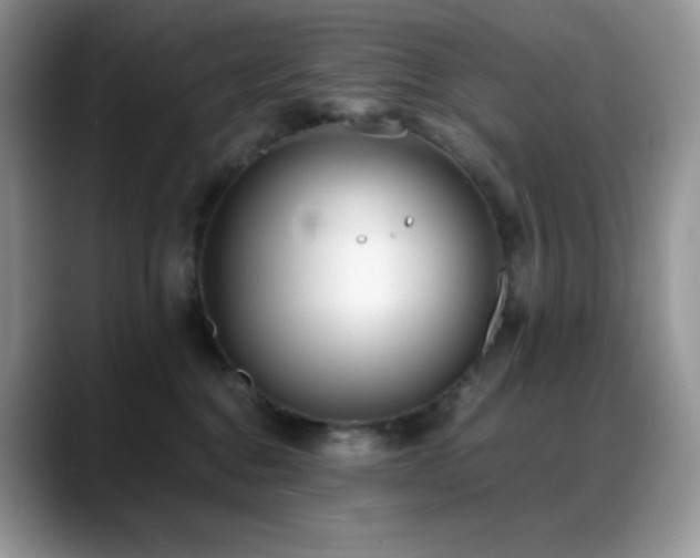 X0000088910376200706081346