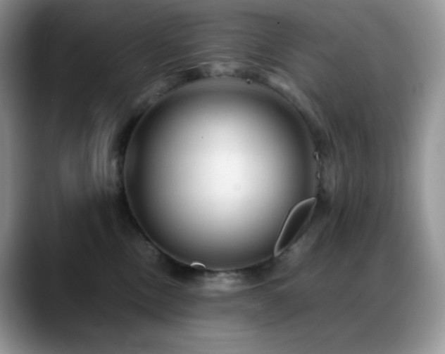 X0000088910378200706081346