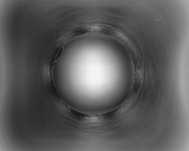 X0000088910381200706081346