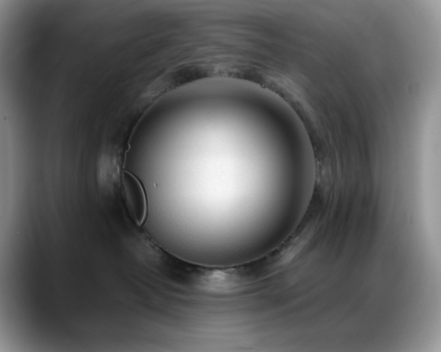 X0000088910382200706081346