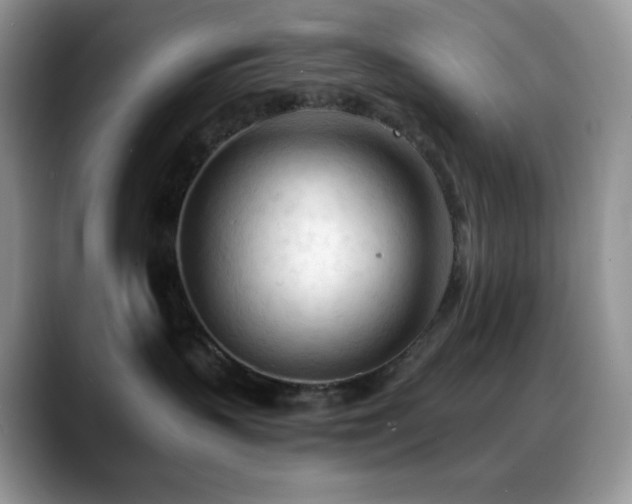 X0000088910383200706081346