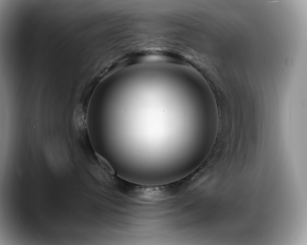 X0000088910384200706081346
