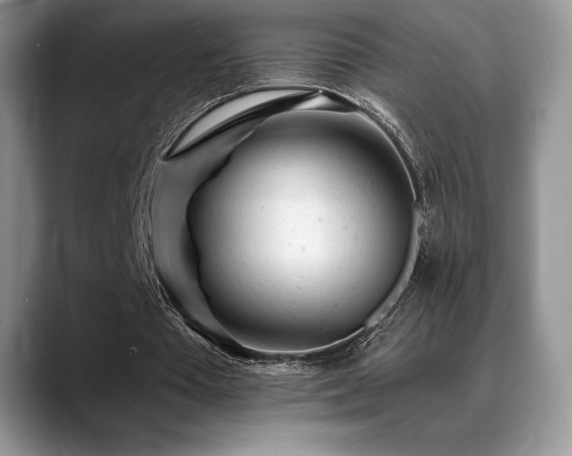 X0000088910385200706081345