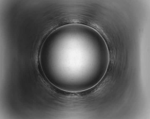 X0000088910386200706081345