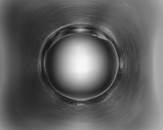 X0000088910388200706081345