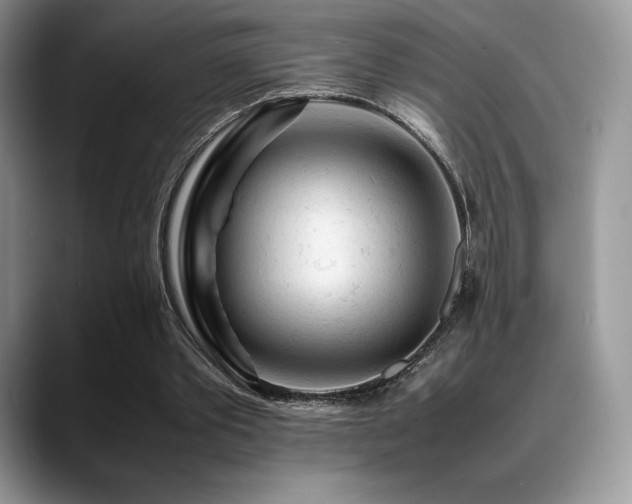 X0000088910389200706081345