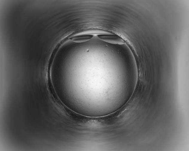 X0000088910390200706081345