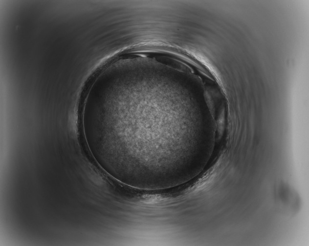 X0000088910391200706081345