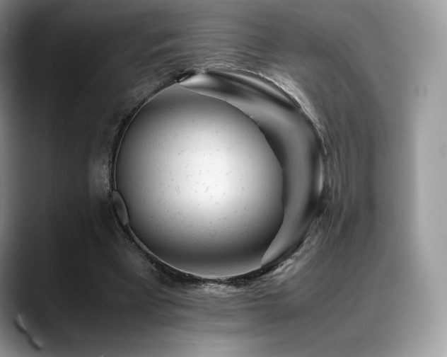 X0000088910393200706081345