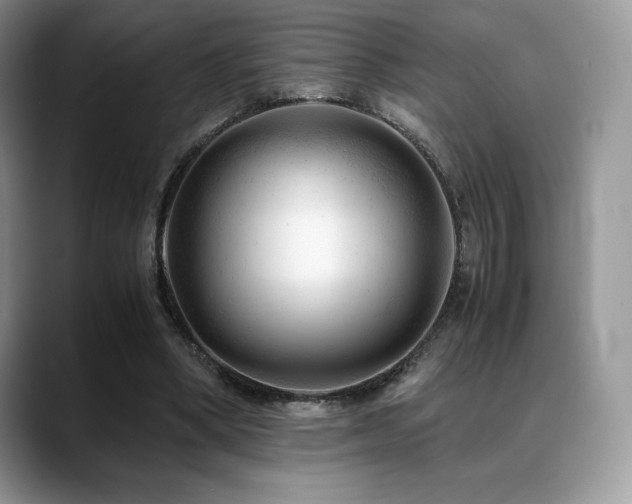 X0000088910394200706081345