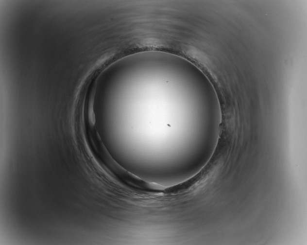 X0000088910395200706081345