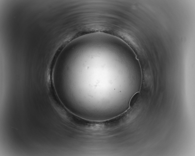 X0000088910398200706081345
