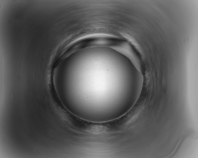 X0000088910399200706081345