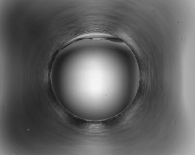 X0000088910401200706081345