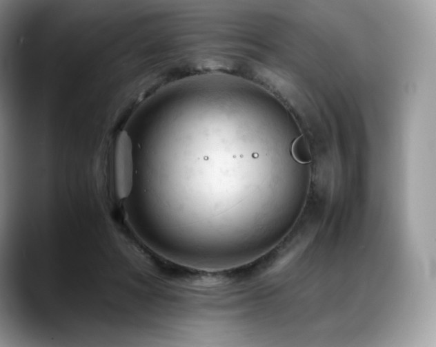 X0000088910402200706081345