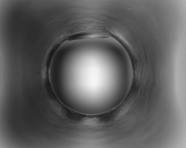 X0000088910403200706081345