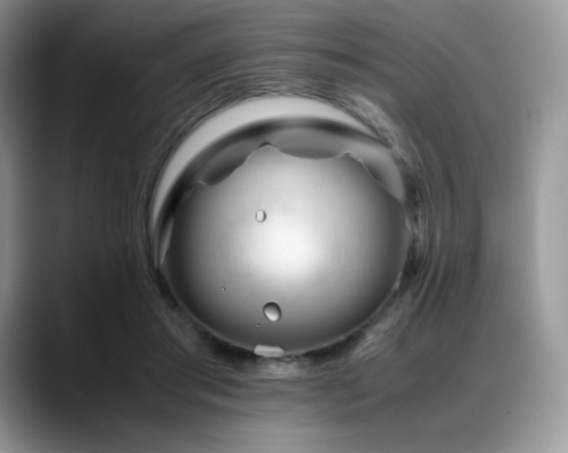 X0000088910405200706081345