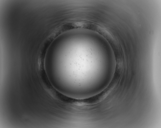 X0000088910408200706081345