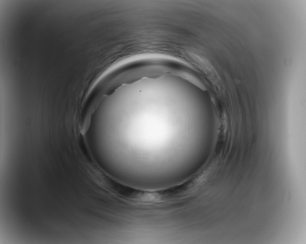 X0000088910409200706081345
