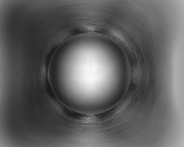 X0000088910410200706081345