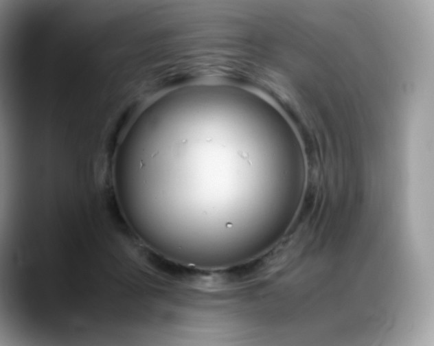 X0000088910411200706081345